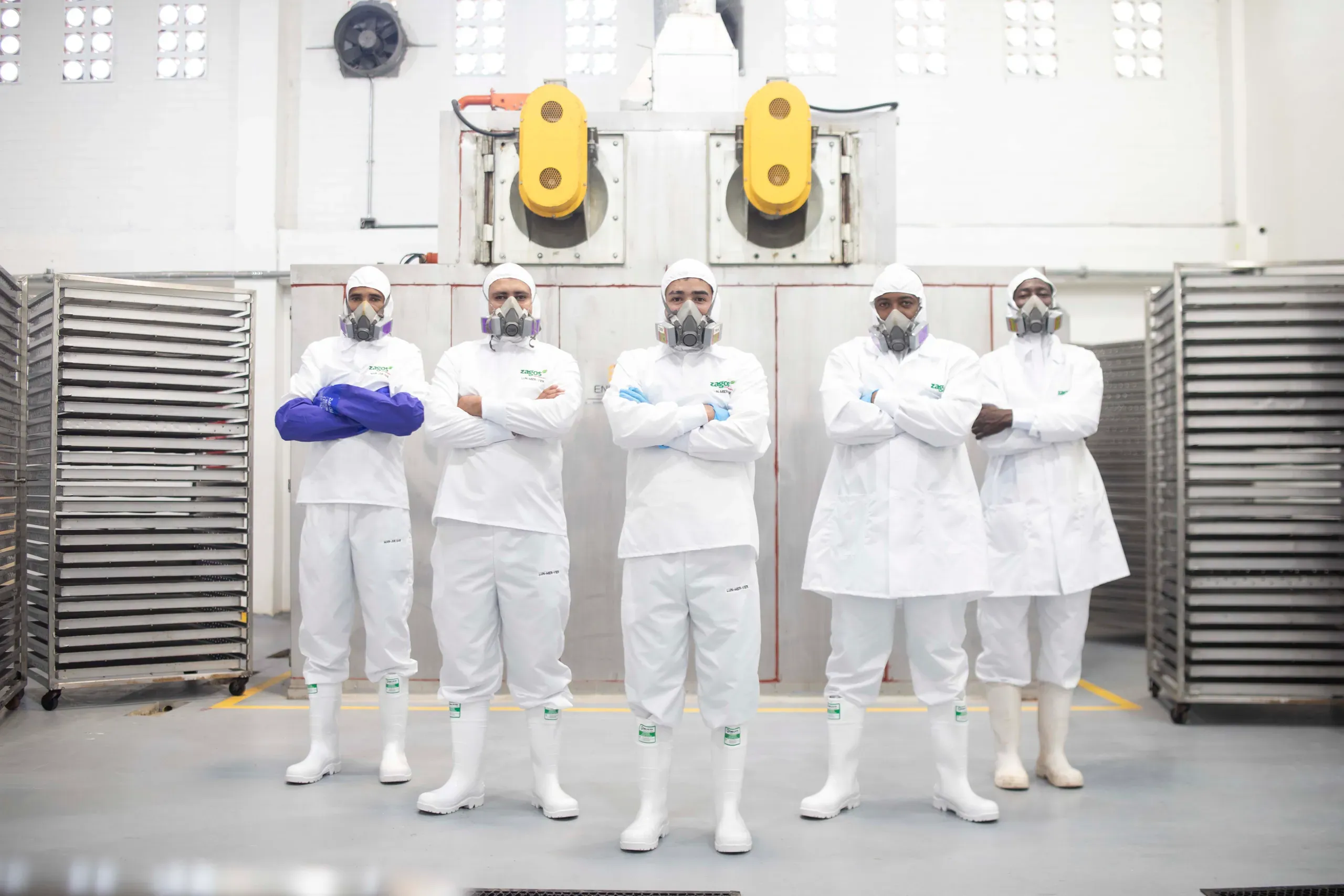 Equipo de planta de ZAGOS con equipo de protección