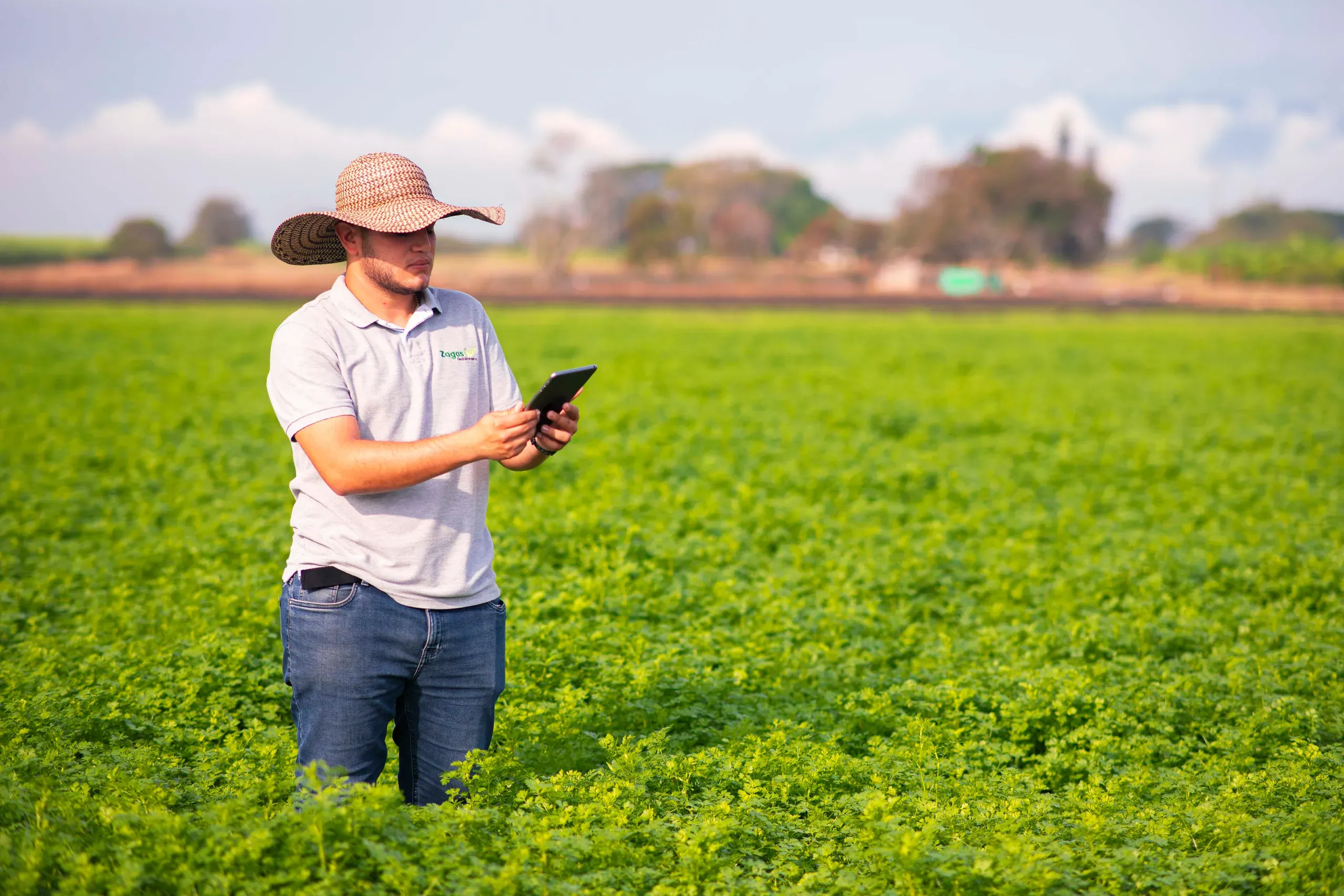 Ingeniero de ZAGOS con tablet en el cultivo